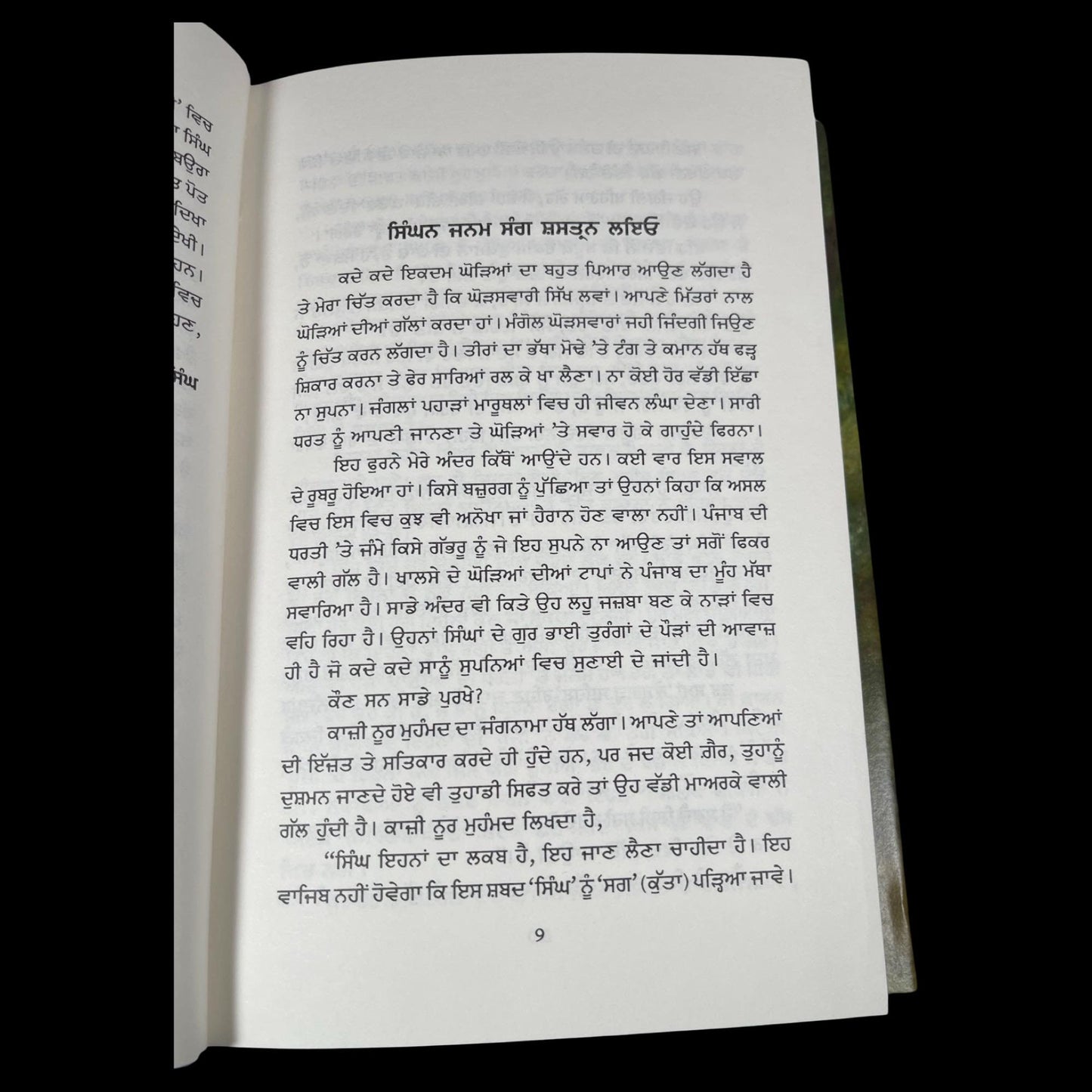 Sikh Book, Hane Hane Patshahi, Sikh History Books, Sikh Novels, Sikh Gift items, Punjabi Book