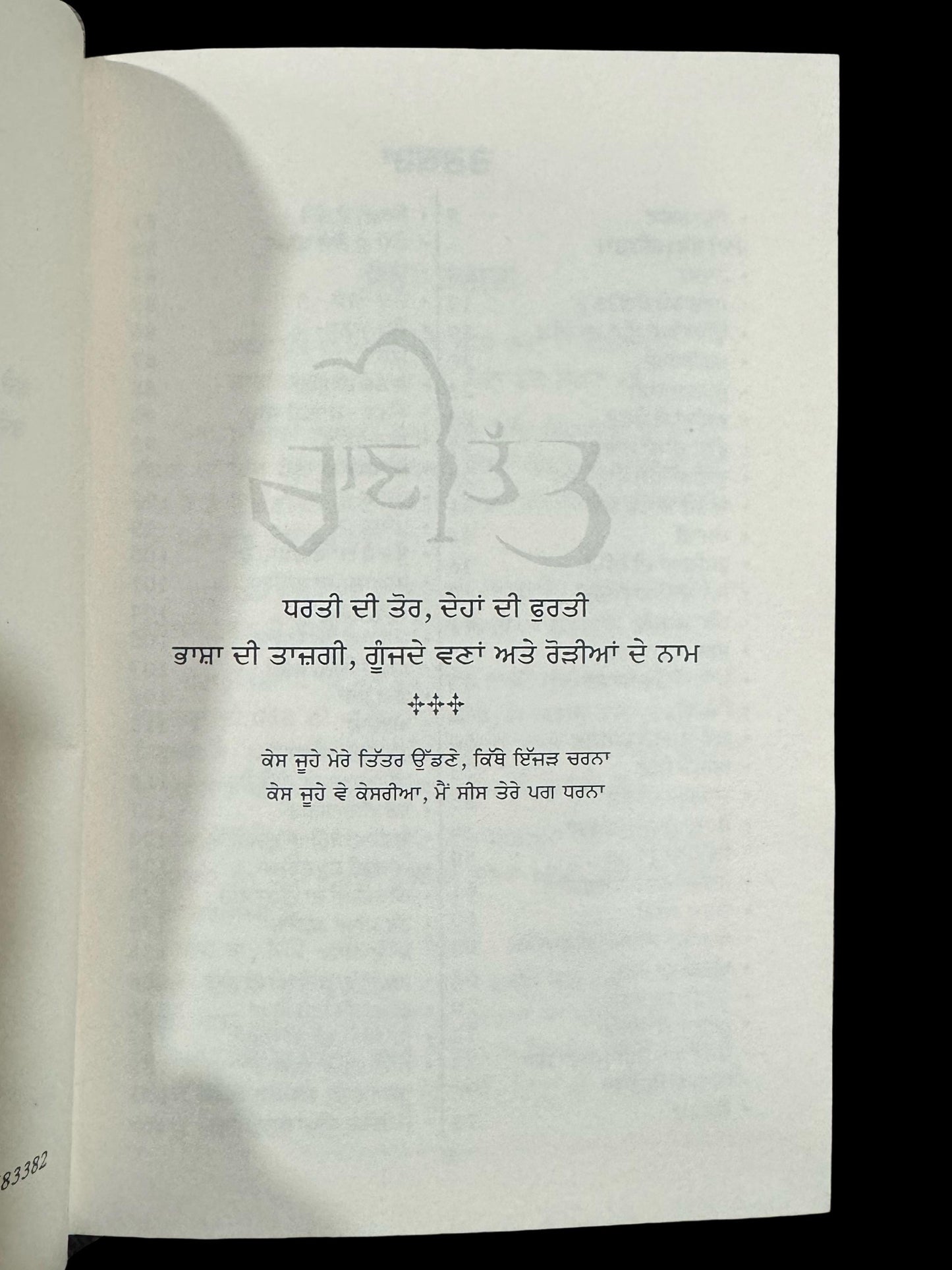 Rani Tatt Punjabi Book by Harmanjit Singh, Sikh History Books, Sikh Gift items, Punjabi Book