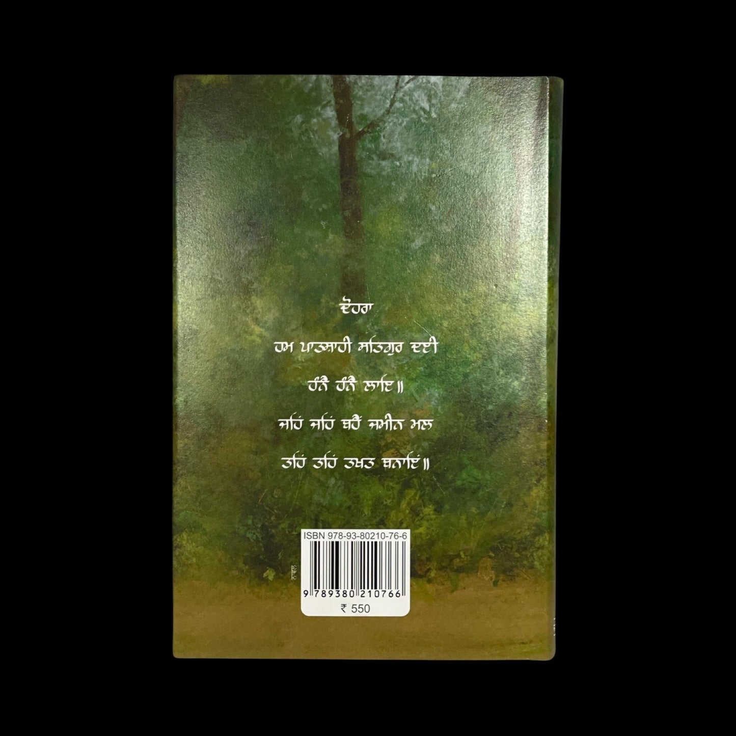 Sikh Book, Hane Hane Patshahi, Sikh History Books, Sikh Novels, Sikh Gift items, Punjabi Book
