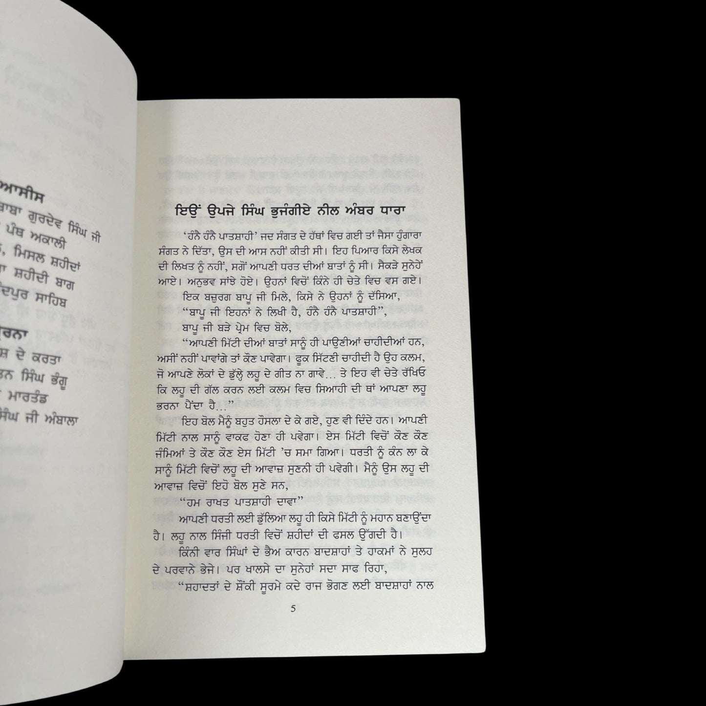 Sikh Book, Baleo Nikalde Sher, Hane Hane Patshahi,  Sikh History Books, Sikh Novels, Sikh Gift items, Punjabi Book