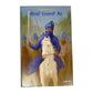 Sikh Book, Baleo Nikalde Sher, Hane Hane Patshahi,  Sikh History Books, Sikh Novels, Sikh Gift items, Punjabi Book