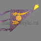 Puratan Nishan Sahib, Sikh Flag, Sikh Raj, Jhanda, Panjabi, Sikh Items,