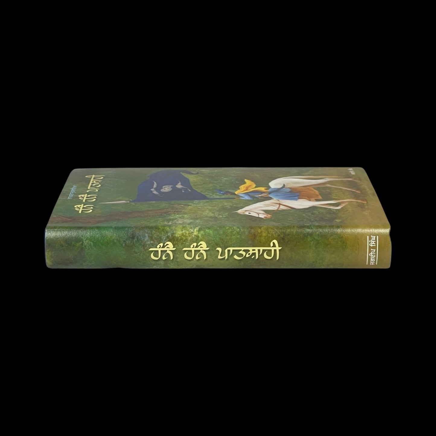 Sikh Book, Hane Hane Patshahi, Sikh History Books, Sikh Novels, Sikh Gift items, Punjabi Book