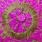 Chattar Saab, Shatar Sahib, Sikh Gurudwara Accessories, Sikh umbrella, Sikh Items,