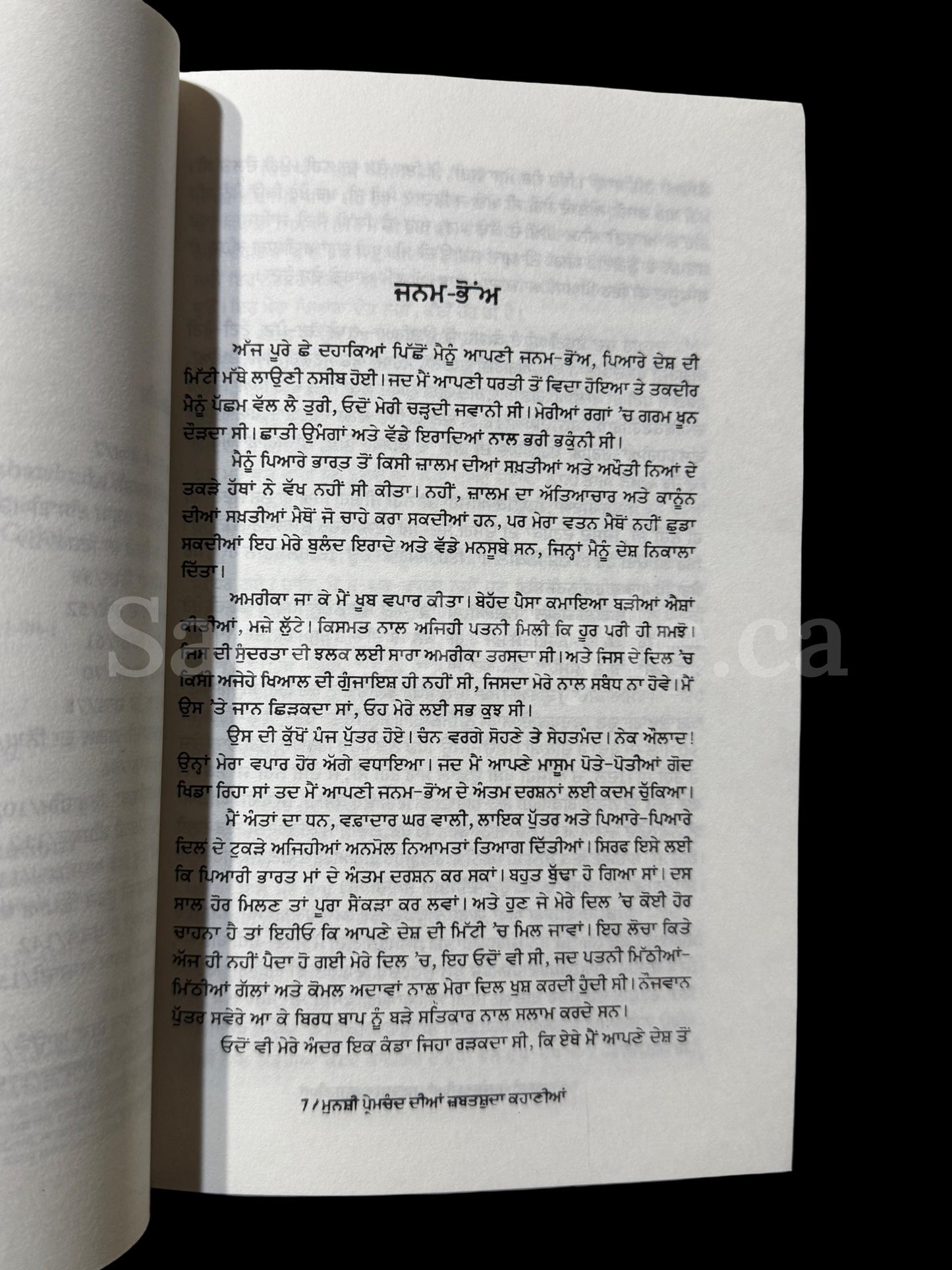 Munshi Prem Chand Stories Punjabi Book, Punjabi Literature, Punjabi Book, Punjabi Gift items