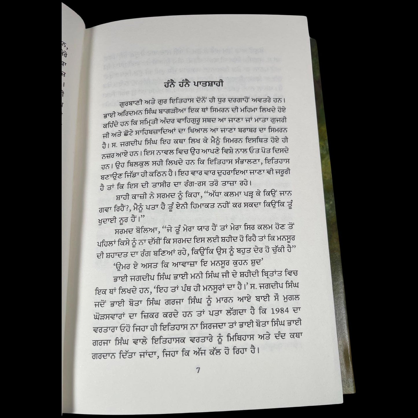 Sikh Book, Hane Hane Patshahi, Sikh History Books, Sikh Novels, Sikh Gift items, Punjabi Book