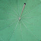 Chattar Saab, Shatar Sahib, Sikh Gurudwara Accessories, Sikh umbrella, Sikh Items,